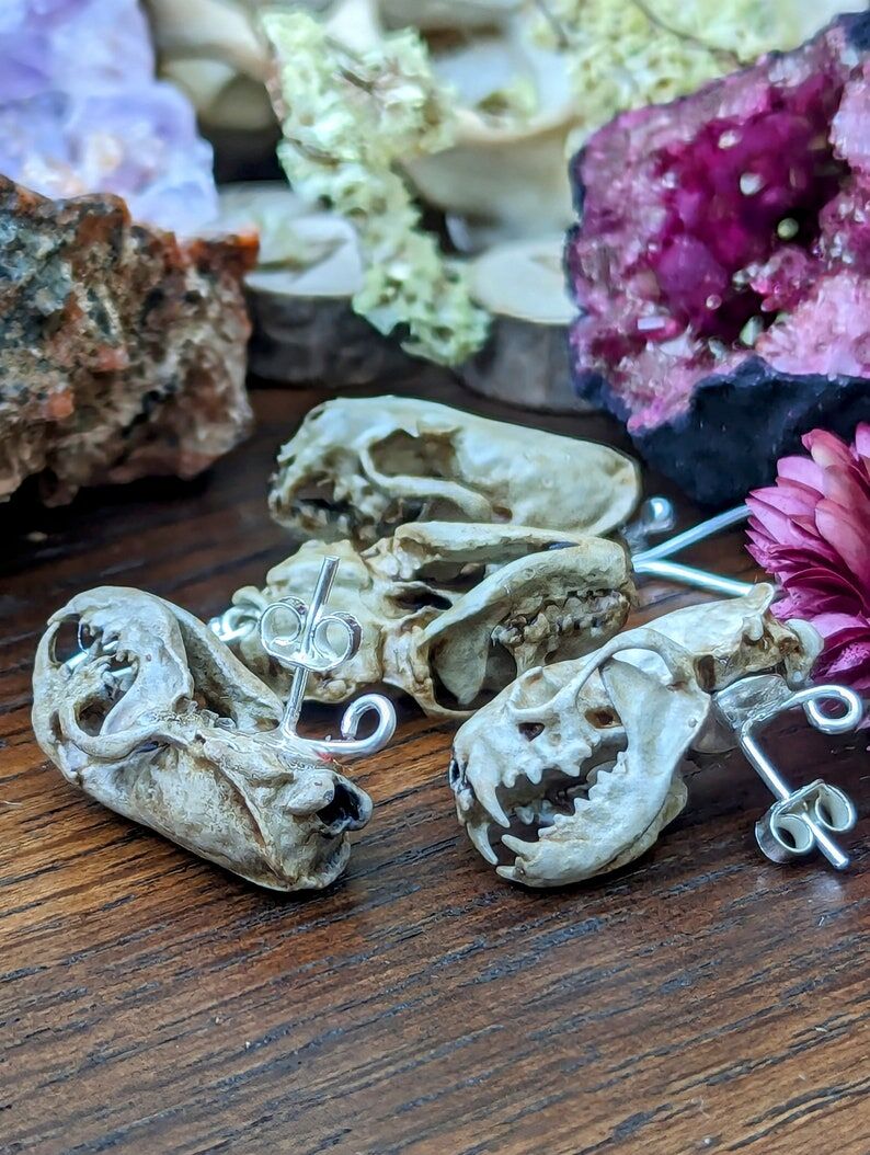 Aged Ferret Skull Earrings | 3D Resin Printed & Hand-Painted | Boho Hippie Goth Witch Jewelry | Vegan Animal Bone Skull Oddity Goblincore